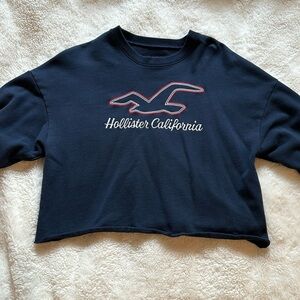 Hollister Sweater